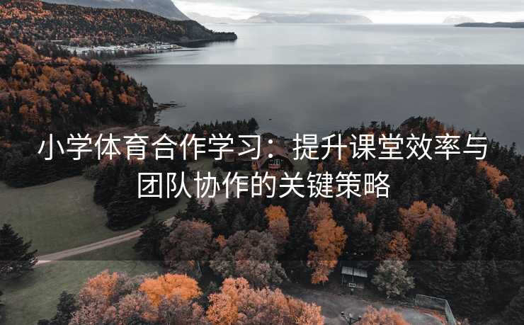 小学体育合作学习：提升课堂效率与团队协作的关键策略