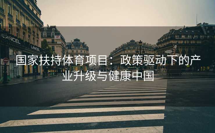 国家扶持体育项目：政策驱动下的产业升级与健康中国