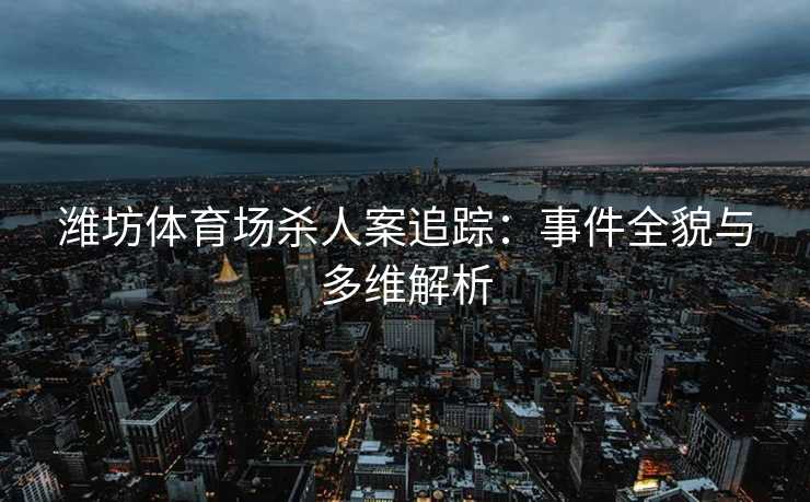 潍坊体育场杀人案追踪：事件全貌与多维解析