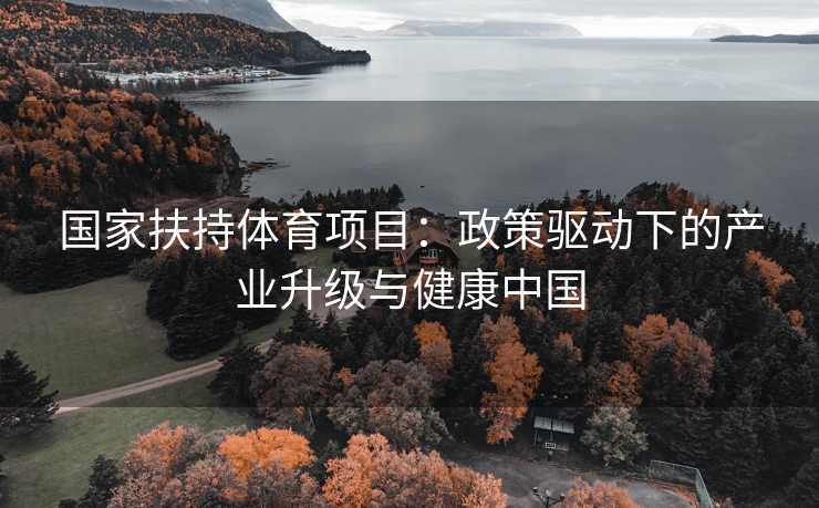 国家扶持体育项目：政策驱动下的产业升级与健康中国