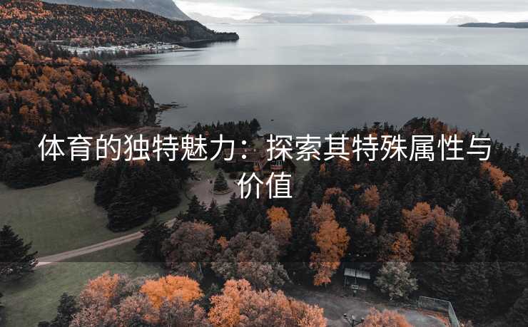 体育的独特魅力：探索其特殊属性与价值
