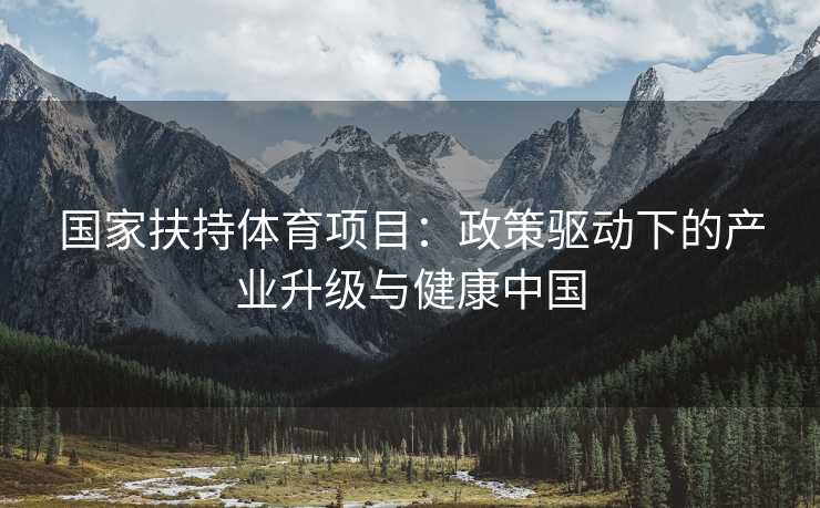 国家扶持体育项目：政策驱动下的产业升级与健康中国