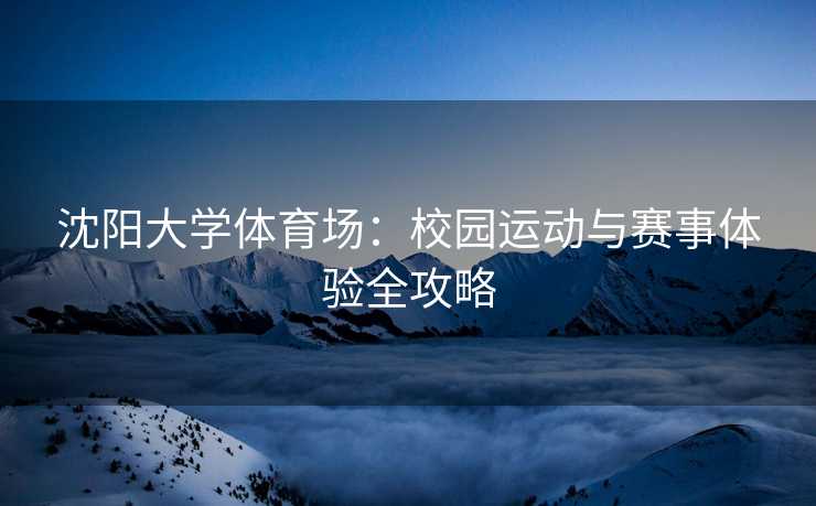 沈阳大学体育场：校园运动与赛事体验全攻略