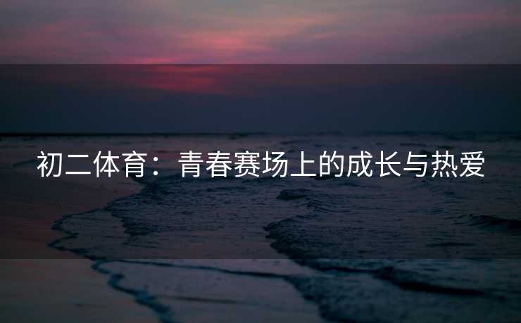 初二体育：青春赛场上的成长与热爱