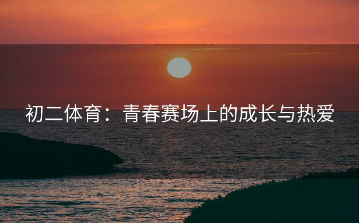 初二体育：青春赛场上的成长与热爱