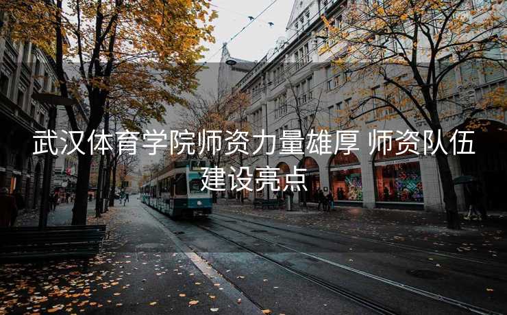 武汉体育学院师资力量雄厚 师资队伍建设亮点