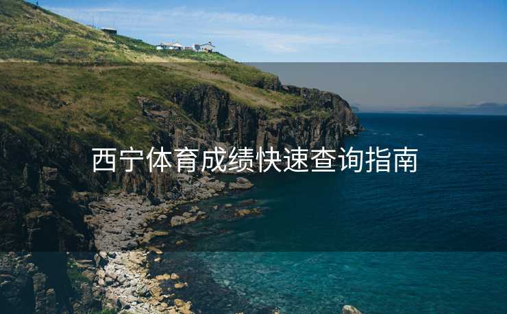西宁体育成绩快速查询指南