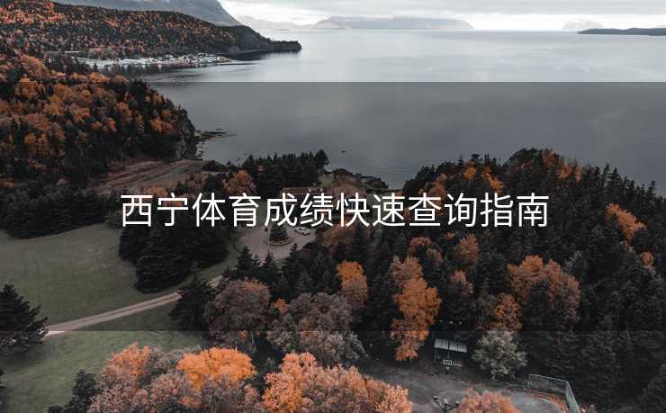 西宁体育成绩快速查询指南