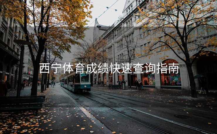 西宁体育成绩快速查询指南