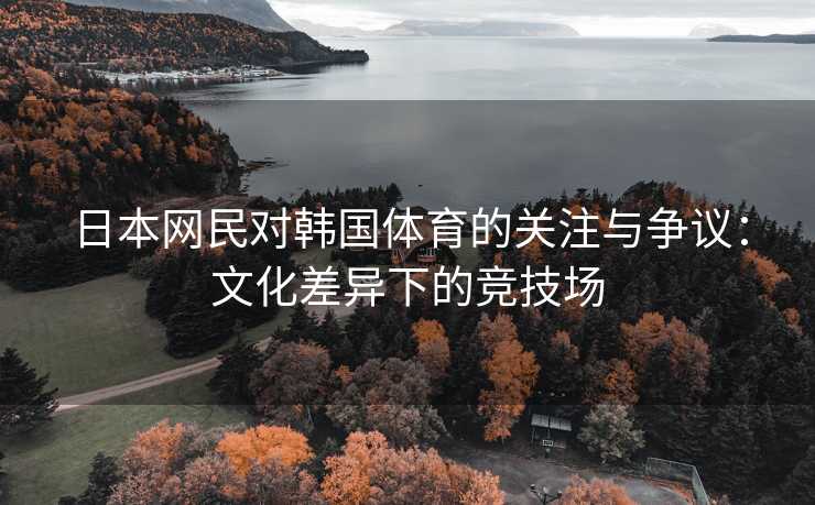 日本网民对韩国体育的关注与争议：文化差异下的竞技场