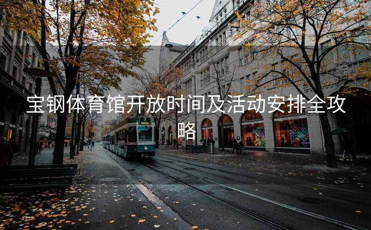 宝钢体育馆开放时间及活动安排全攻略