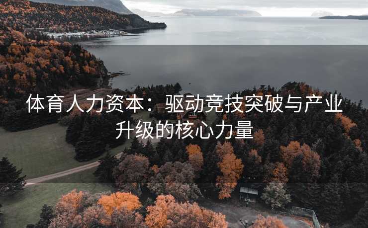 体育人力资本：驱动竞技突破与产业升级的核心力量