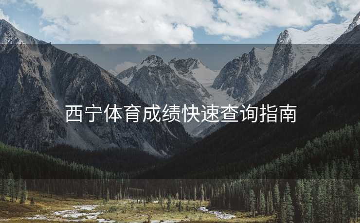 西宁体育成绩快速查询指南