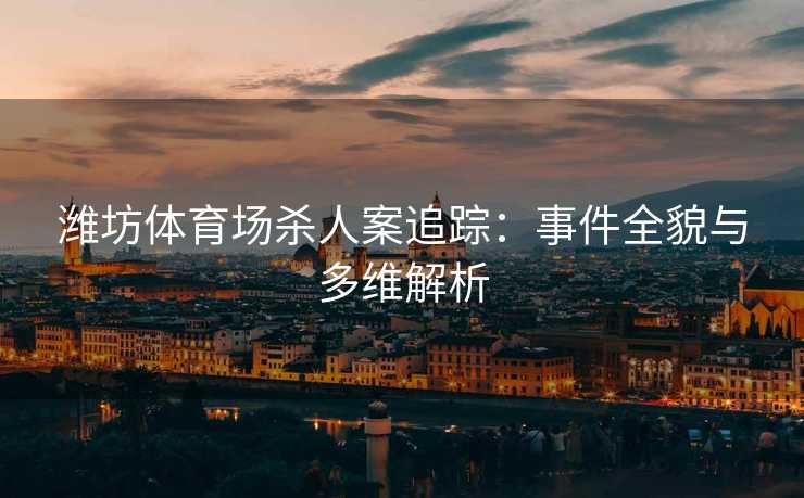 潍坊体育场杀人案追踪：事件全貌与多维解析