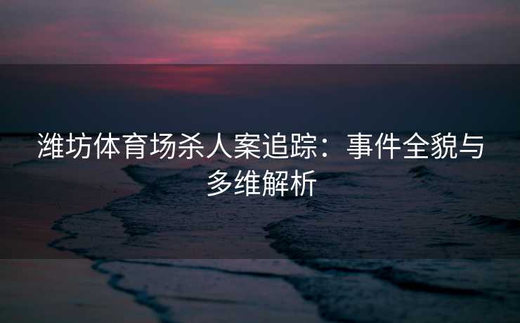 潍坊体育场杀人案追踪：事件全貌与多维解析