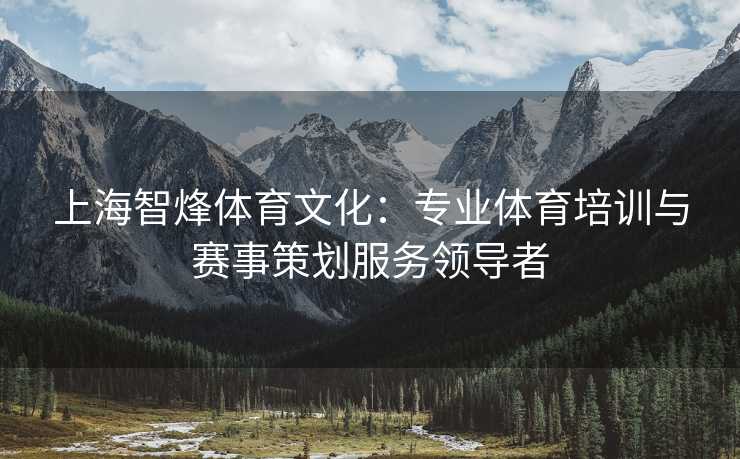 上海智烽体育文化：专业体育培训与赛事策划服务领导者
