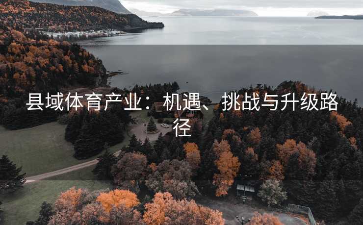 县域体育产业：机遇、挑战与升级路径