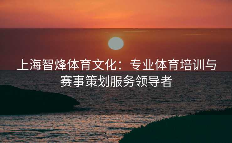 上海智烽体育文化：专业体育培训与赛事策划服务领导者