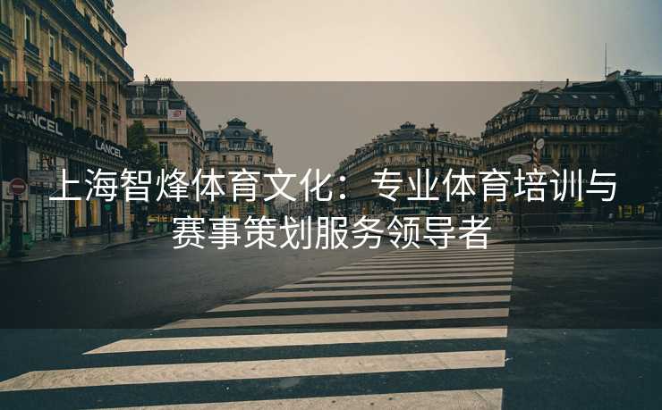 上海智烽体育文化：专业体育培训与赛事策划服务领导者