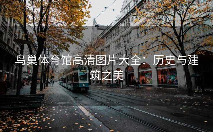鸟巢体育馆高清图片大全：历史与建筑之美