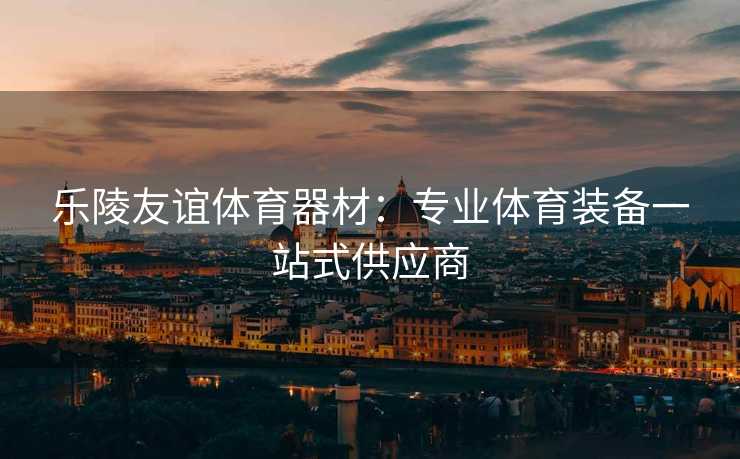 乐陵友谊体育器材：专业体育装备一站式供应商