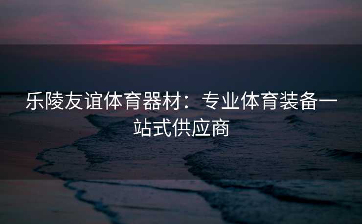 乐陵友谊体育器材：专业体育装备一站式供应商