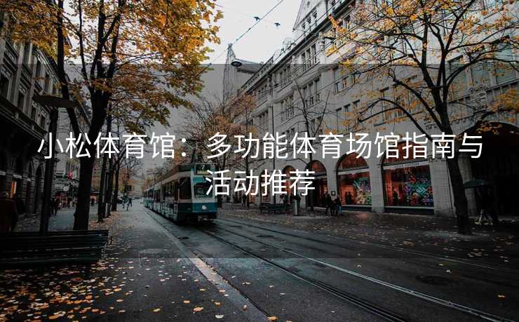 小松体育馆：多功能体育场馆指南与活动推荐