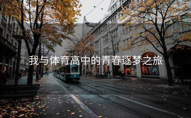 我与体育高中的青春逐梦之旅