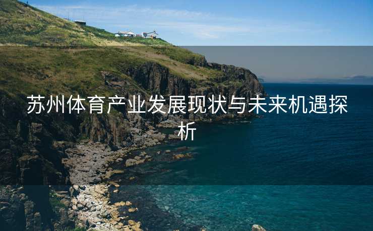 苏州体育产业发展现状与未来机遇探析