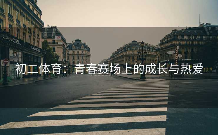 初二体育：青春赛场上的成长与热爱