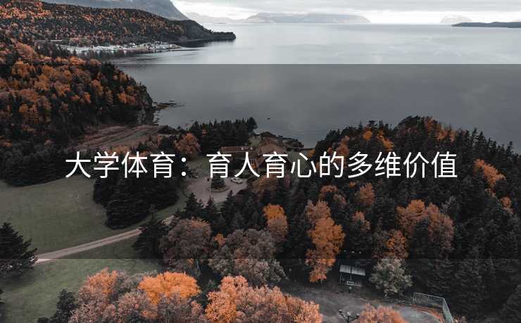 大学体育：育人育心的多维价值