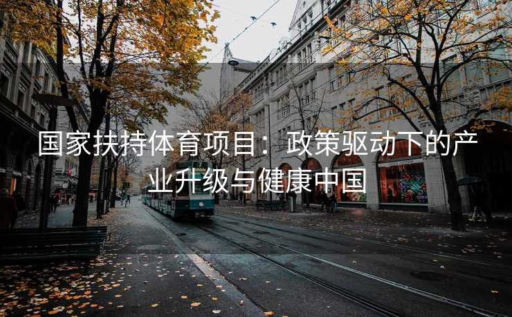 国家扶持体育项目：政策驱动下的产业升级与健康中国