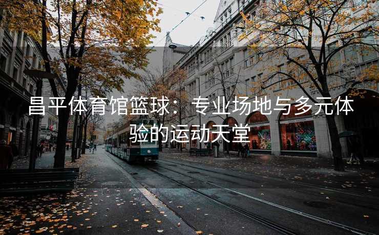 昌平体育馆篮球：专业场地与多元体验的运动天堂