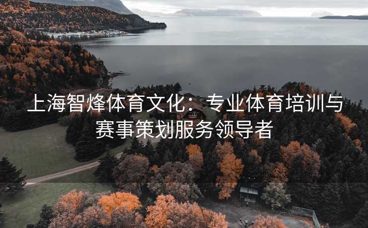 上海智烽体育文化：专业体育培训与赛事策划服务领导者