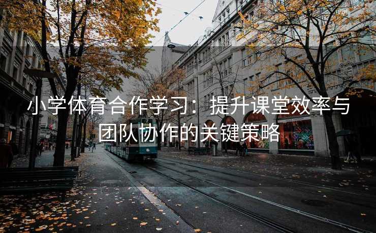 小学体育合作学习：提升课堂效率与团队协作的关键策略