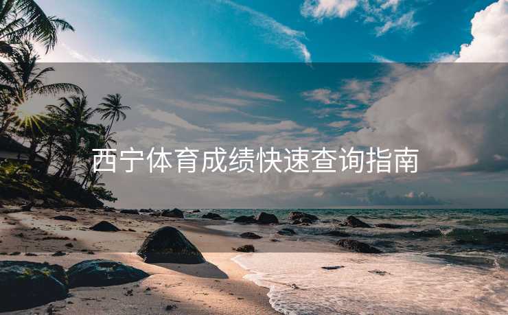 西宁体育成绩快速查询指南