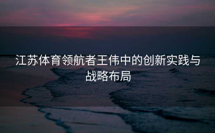 江苏体育领航者王伟中的创新实践与战略布局