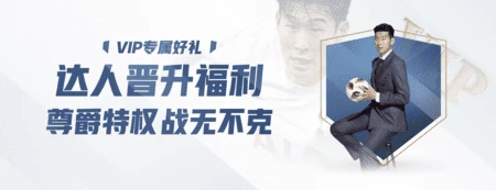 黄金甲体育官网